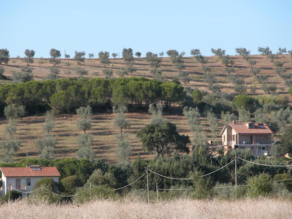 Agriturismo San Lino-Gilberto Massa Marittima Kültér fotó