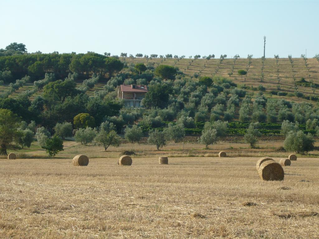 Agriturismo San Lino-Gilberto Massa Marittima Kültér fotó