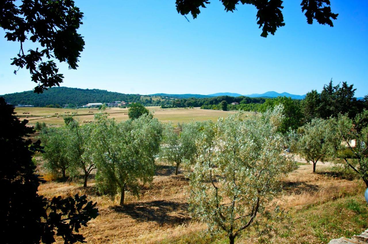 Agriturismo San Lino-Gilberto Massa Marittima Kültér fotó